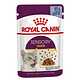 Корм для кошек Royal Canin Sensory Taste кусочки в желе (85г) 80x80 в Материке