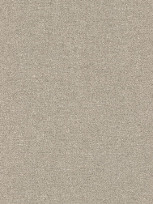 Обои 555868 RASCH 0.53*10м 495x660 Обои 555868 RASCH 0.53*10м 495x660 в Материке