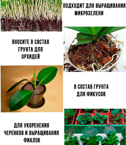 Субстрат Кокосовый универсальный ОРЕХНИН-1 (0,65кг) 438x503 в Материке - Вариант 4