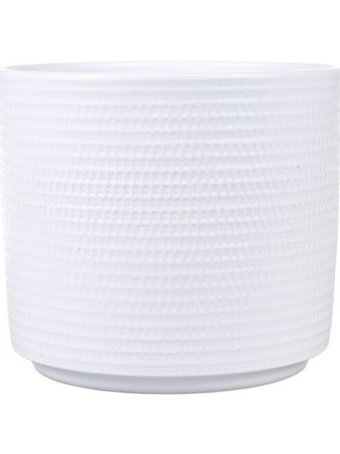 Кашпо CALLA 991 (12,5x11см) керамика белый мат 99112/095 495x660 Кашпо CALLA 991 (12,5x11см) керамика белый мат 99112/095 495x660 в Материке