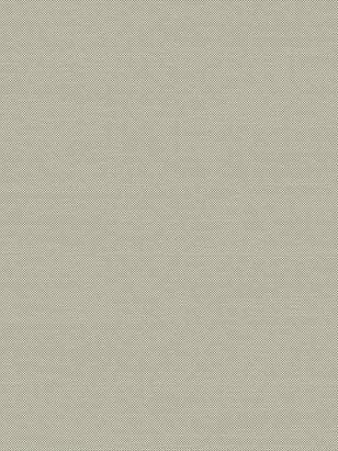 Ковер TERAZZA 21215 Ivory Silver/Sage Green 80*150 238x286 в Материке