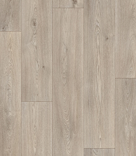 Линолеум FORWARD COLUMB OAK 5-3.5м 438x503 в Материке - Вариант 2