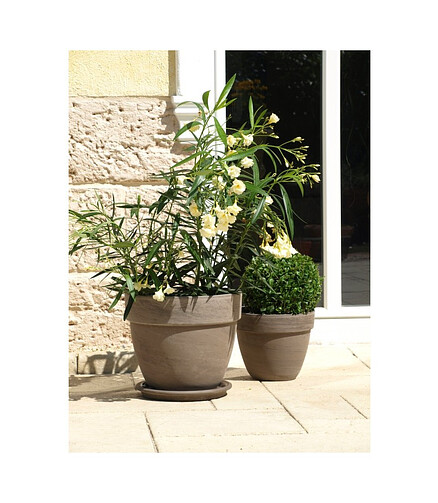 Горшок BASALT Levante (24x19см) терракота коричневый T-056-025-24 438x503 в Материке - Вариант 4